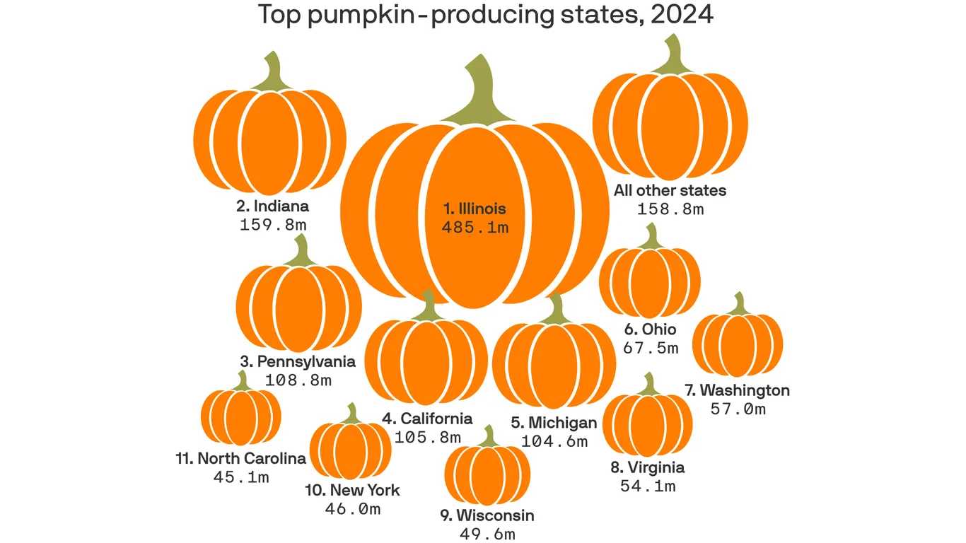 Featured image for Illinois Pumpkin Passion: From Childhood Business to Farm Diversification