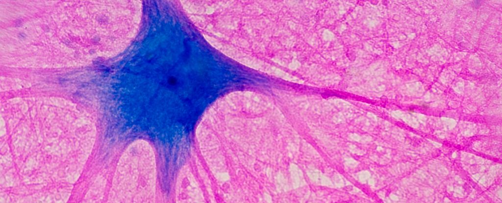 Featured image for Methylene Blue: The Brain-Boosting Chemical?