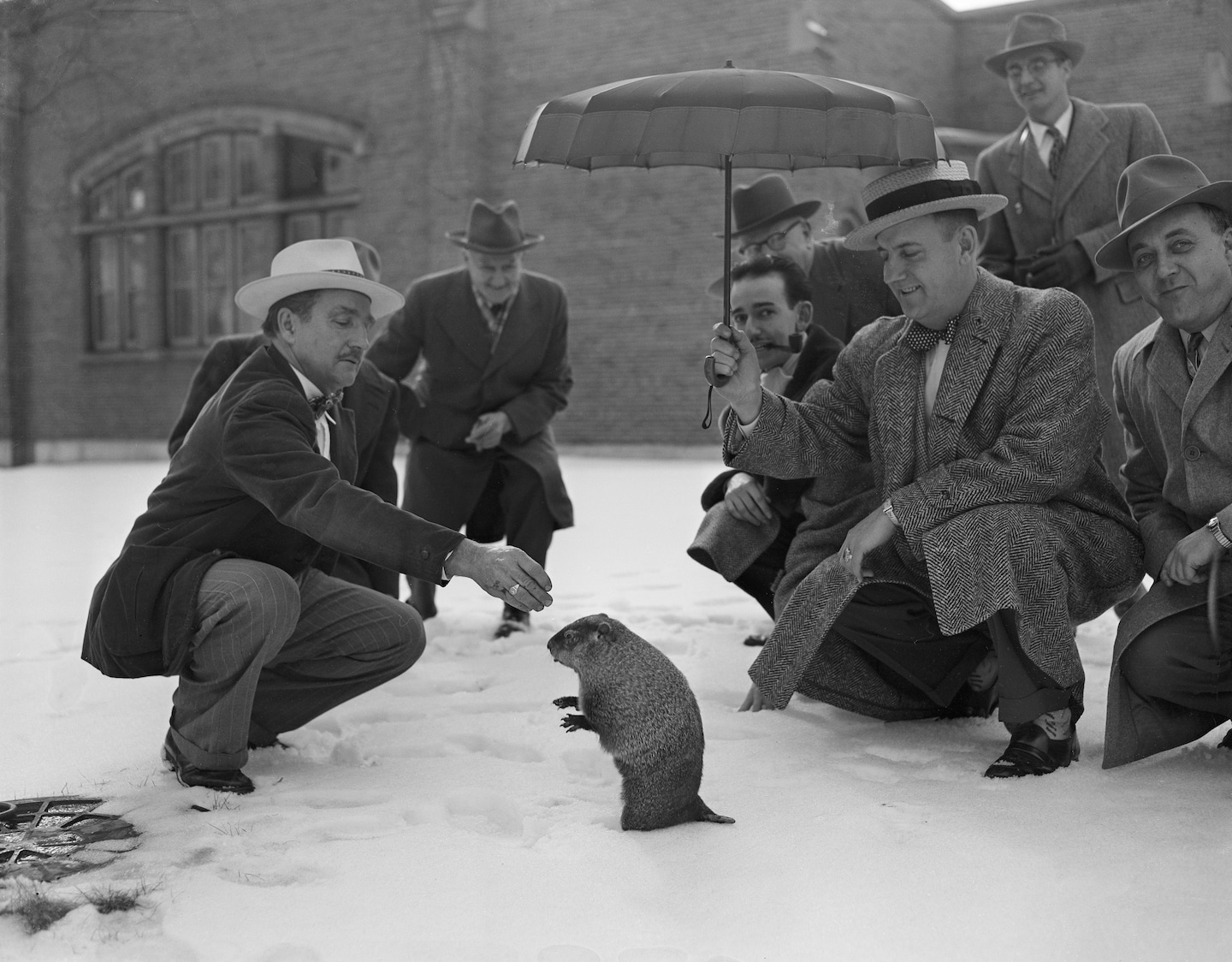 "Punxsutawney Phil's 2024 Forecast: Early Spring or Extended Winter?"