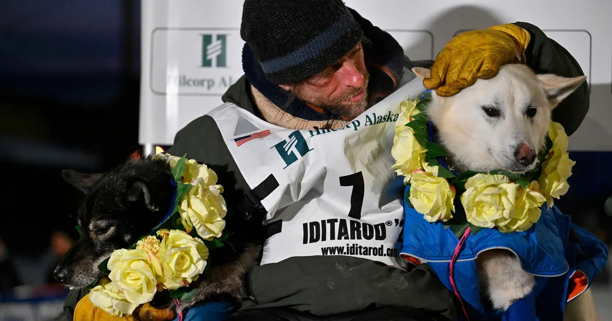 Jessie Holmes Clinches Back-to-Back Iditarod Title, Treasures Lead Dogs with Steaks