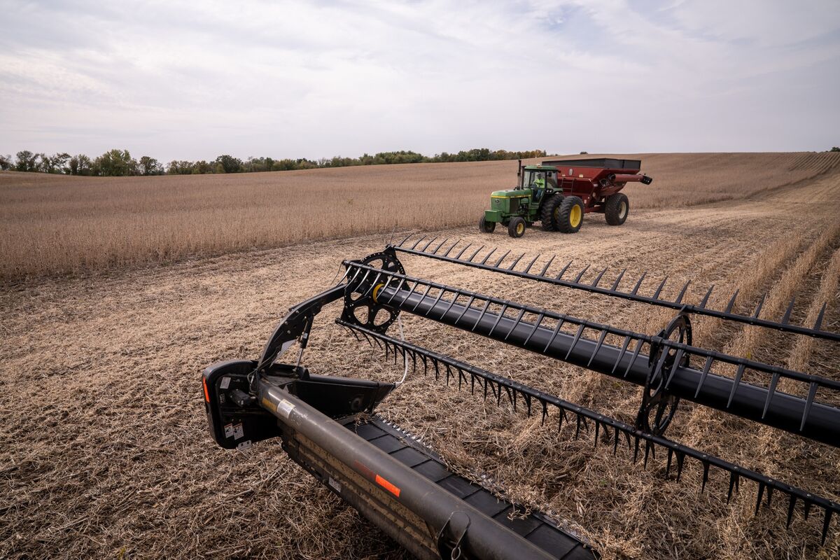 Featured image for China's Soybean Purchases and U.S. Farmers' Challenges