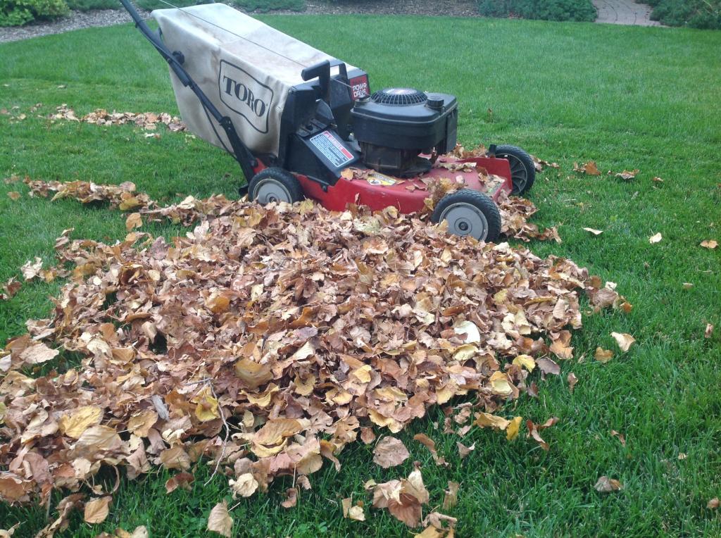 "Colorado Considers Banning Gas-Powered Lawn Tools in Denver and Front Range by 2025"