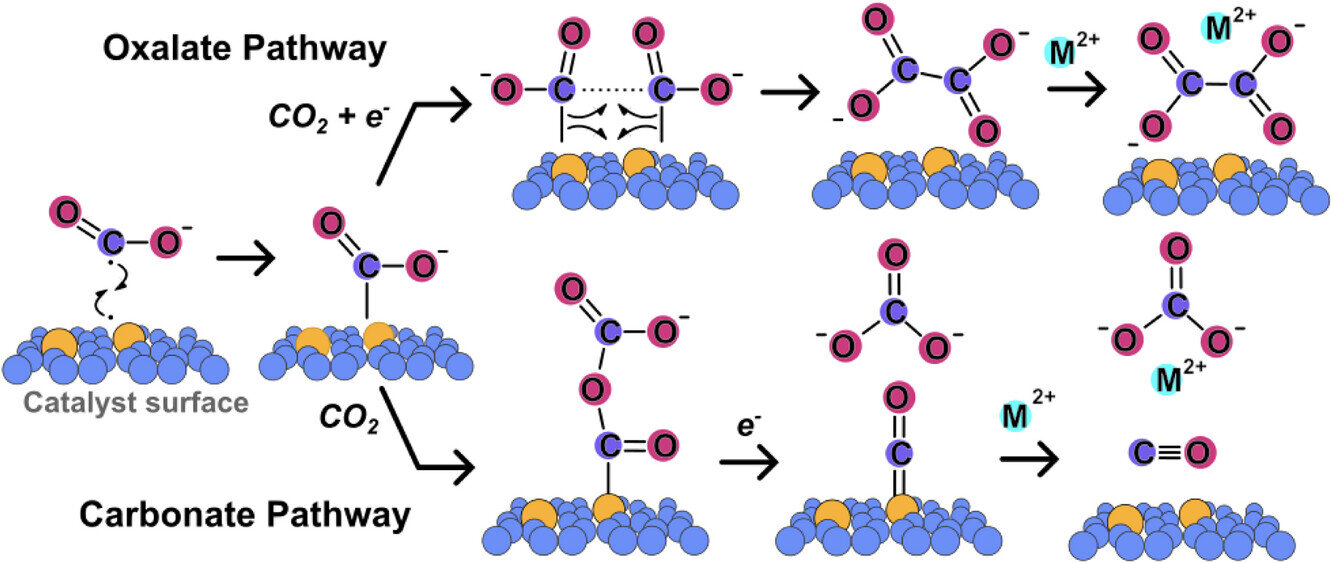 Featured image for Innovative Air-Captured CO₂ Turns into Eco-Friendly Cement