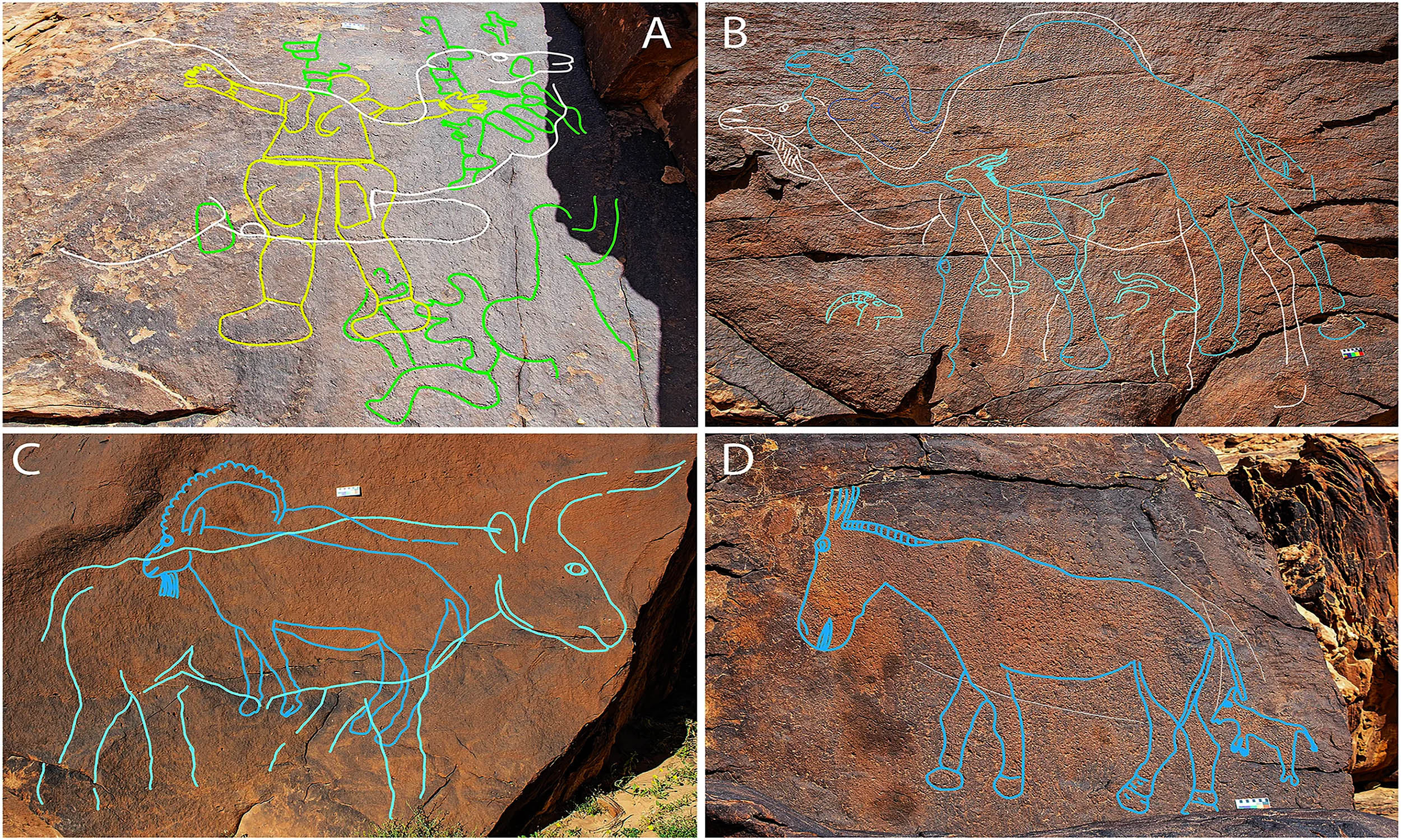 Featured image for Ancient Rock Art Guided Water Search in Deserts 12,000 Years Ago