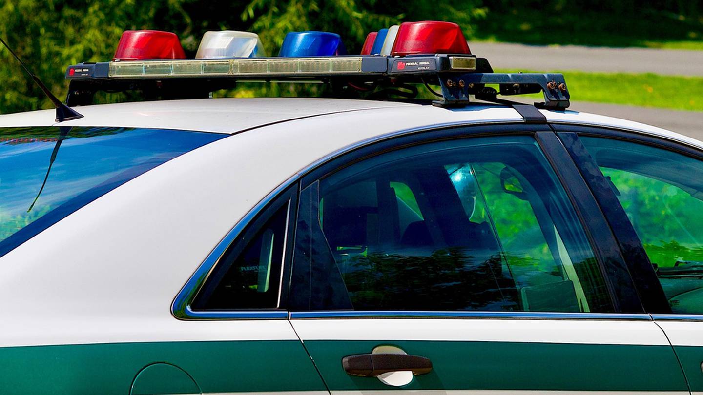 Featured image for Animal Cruelty Investigation Leads to Seizure of Over 100 Animals at Virginia Zoo