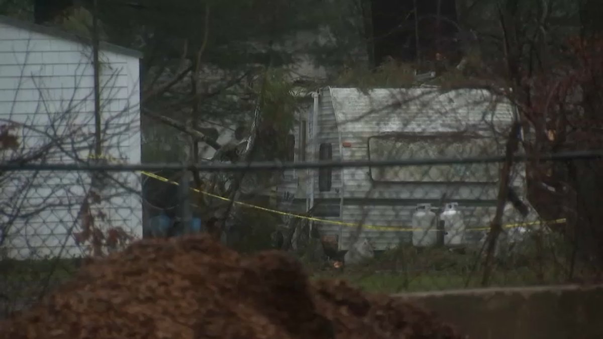 Fatal Trailer Accident: Man Crushed to Death by Falling Tree in Massachusetts Storm