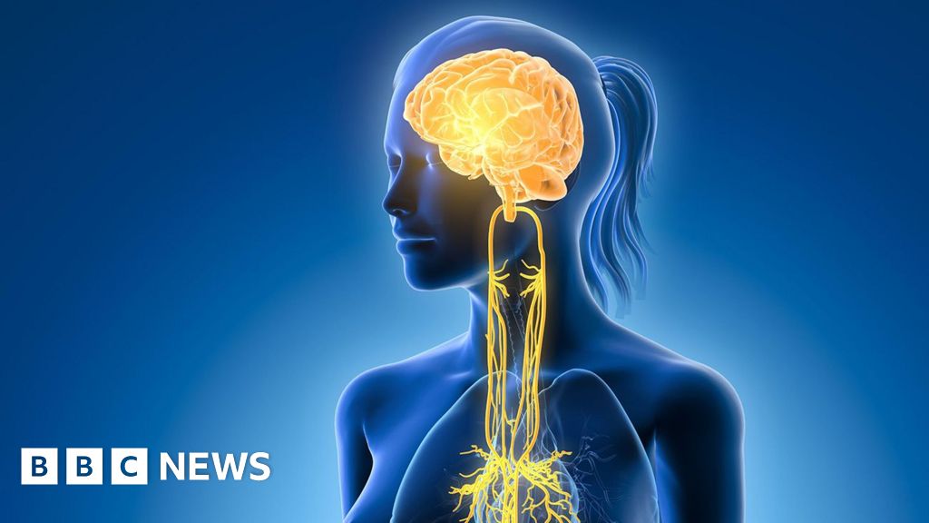 Featured image for Unlocking Relaxation: The Vagus Nerve's Role in Stress Relief