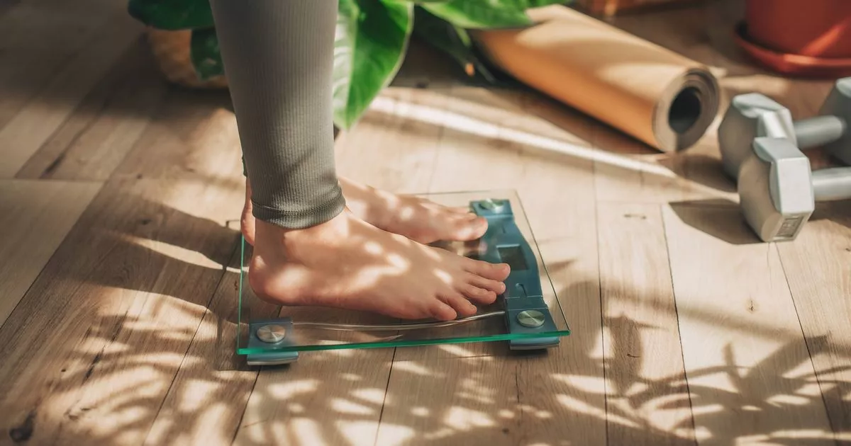 Featured image for Link Between Fat Storage and Increased Alzheimer’s Risk