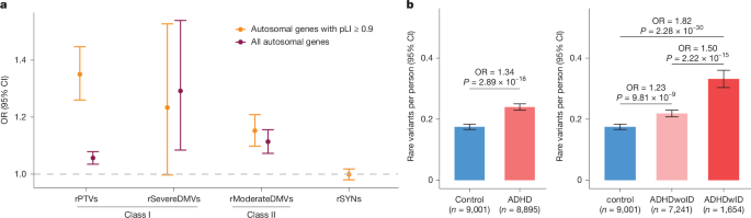 Featured image for Genetic Variants Significantly Increase ADHD Risk and Affect Brain Function