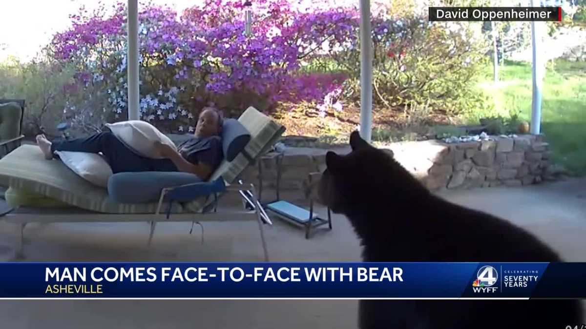 Featured image for Asheville man's backyard encounter with wandering bear caught on camera.