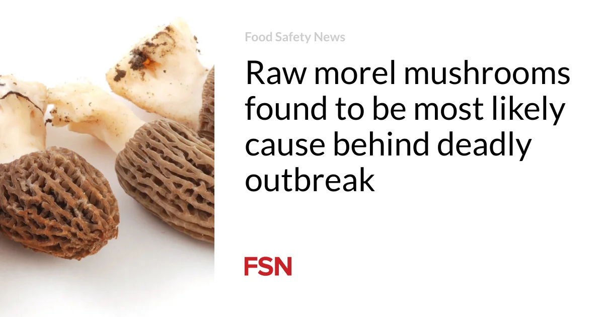 "Deadly Outbreak Traced Back to Raw Morel Mushrooms"
