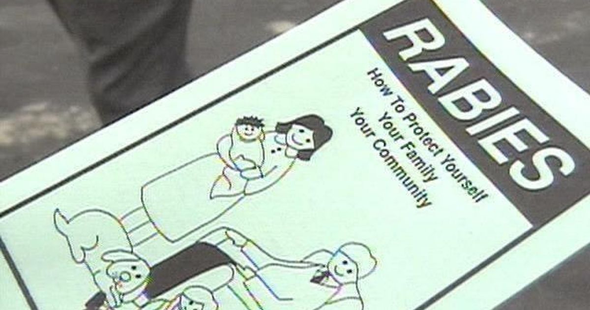 Featured image for Rabid Fox Bites Resident in Raleigh