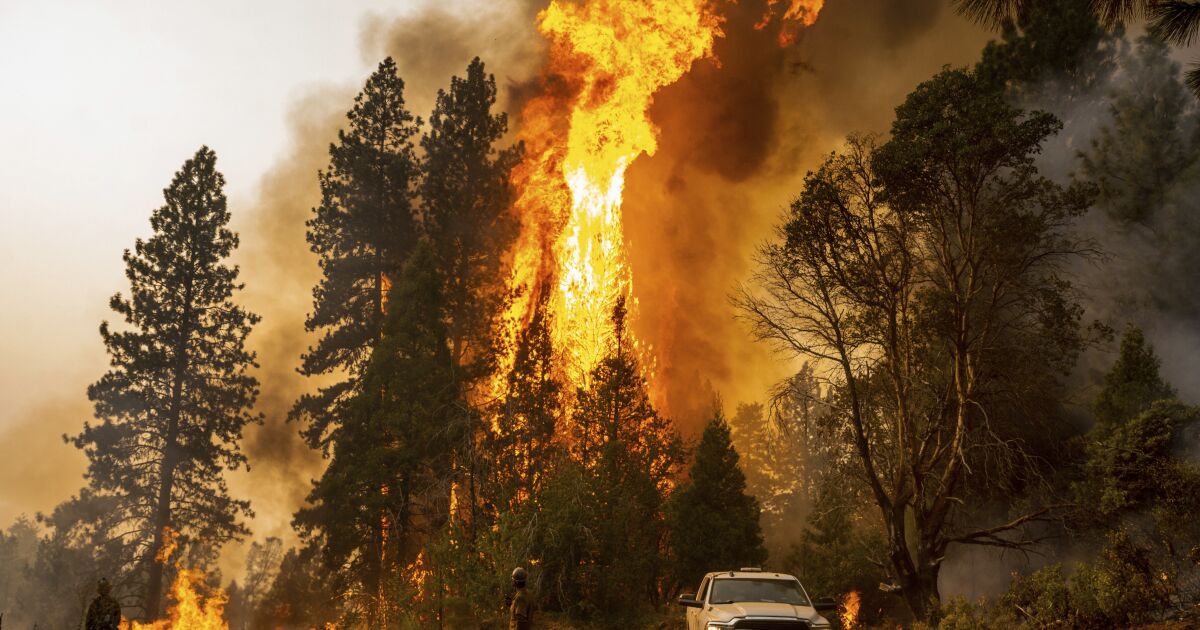 Carbon Emissions Linked to 40% of Western Wildfire Land Burned