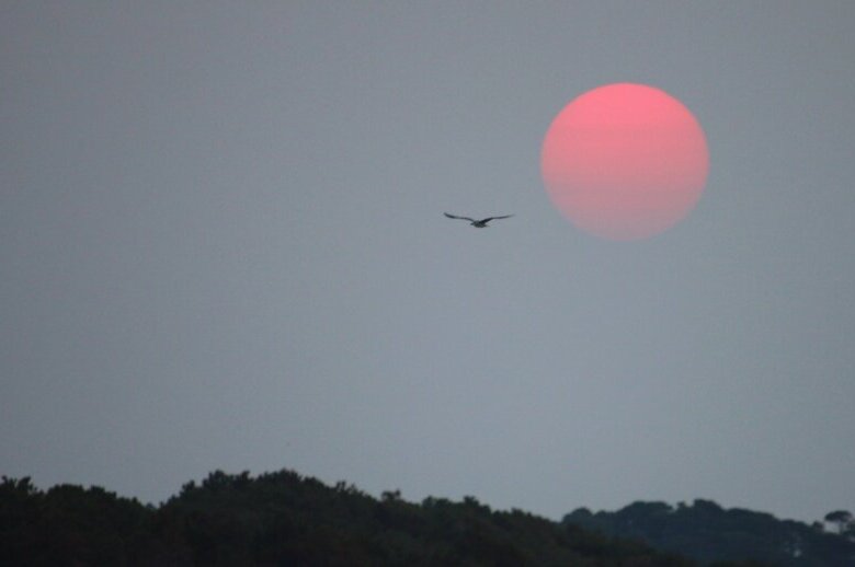 Canadian Wildfires Cause Hazy Air Quality Across US Midwest and Northeast.