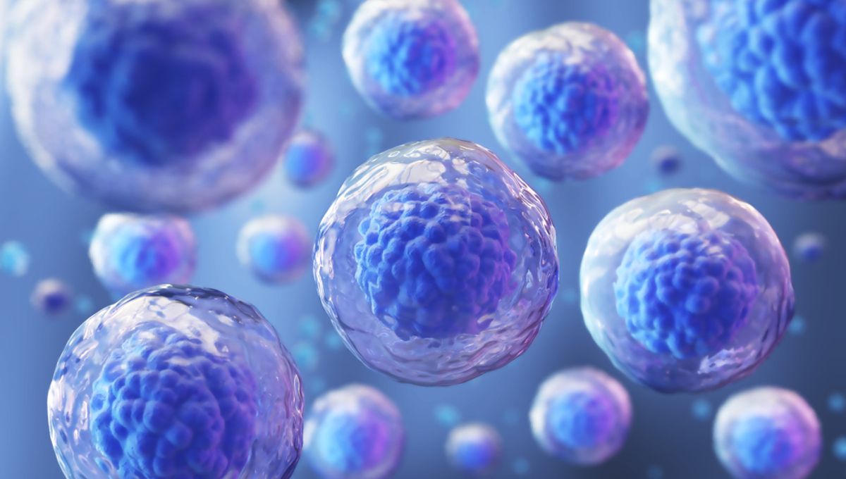 Revolutionary Breakthrough: Human Cells Erase "Memory" in Regenerative Medicine