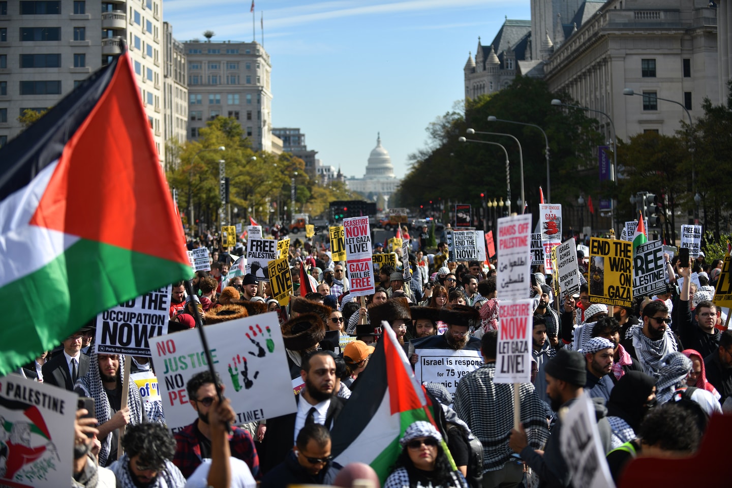 "Massive DC Rally Calls for Israel-Gaza Ceasefire and Palestinian Rights"