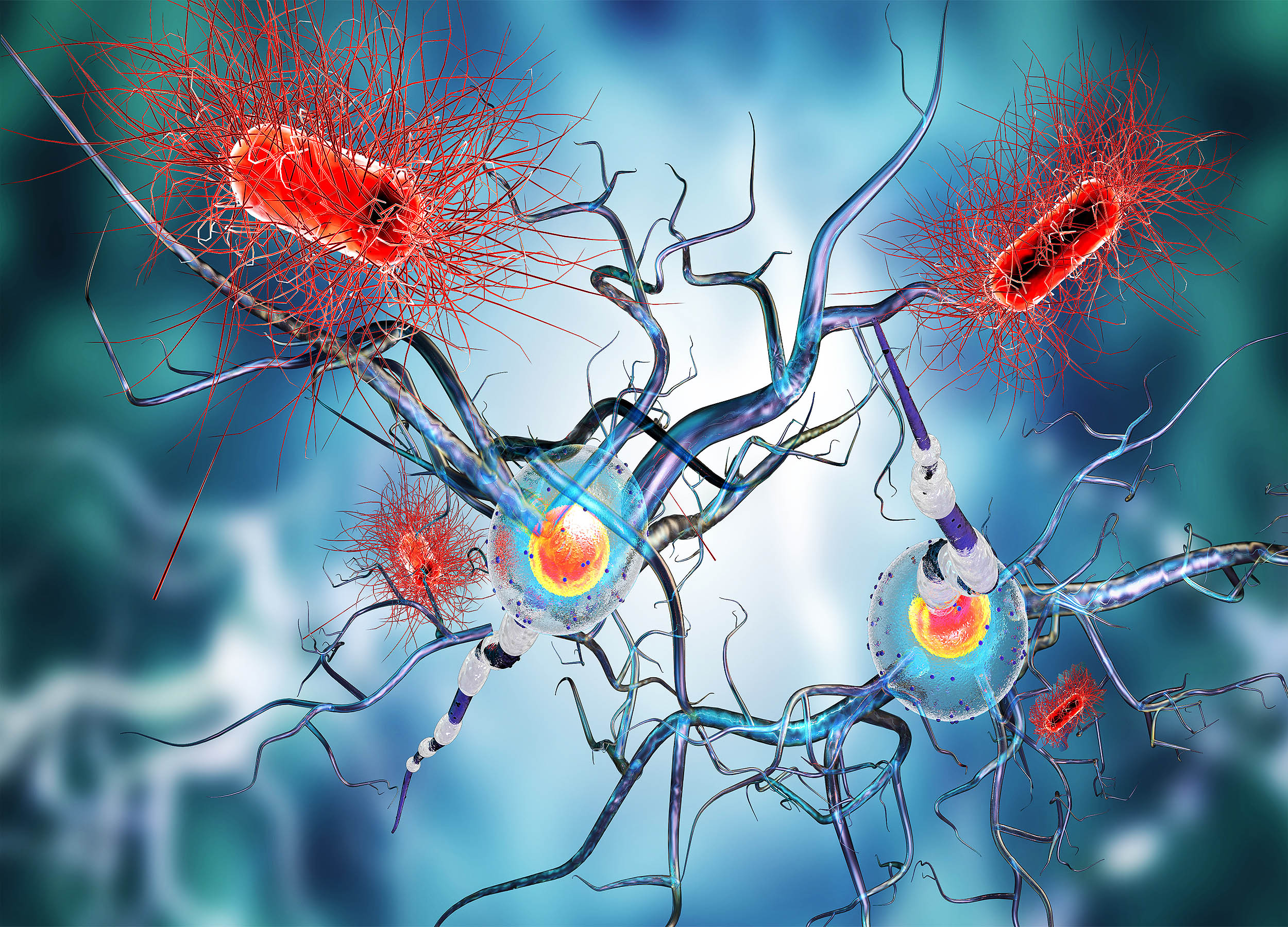 Featured image for Scientists Identify Two Bacteria Linked to Multiple Sclerosis