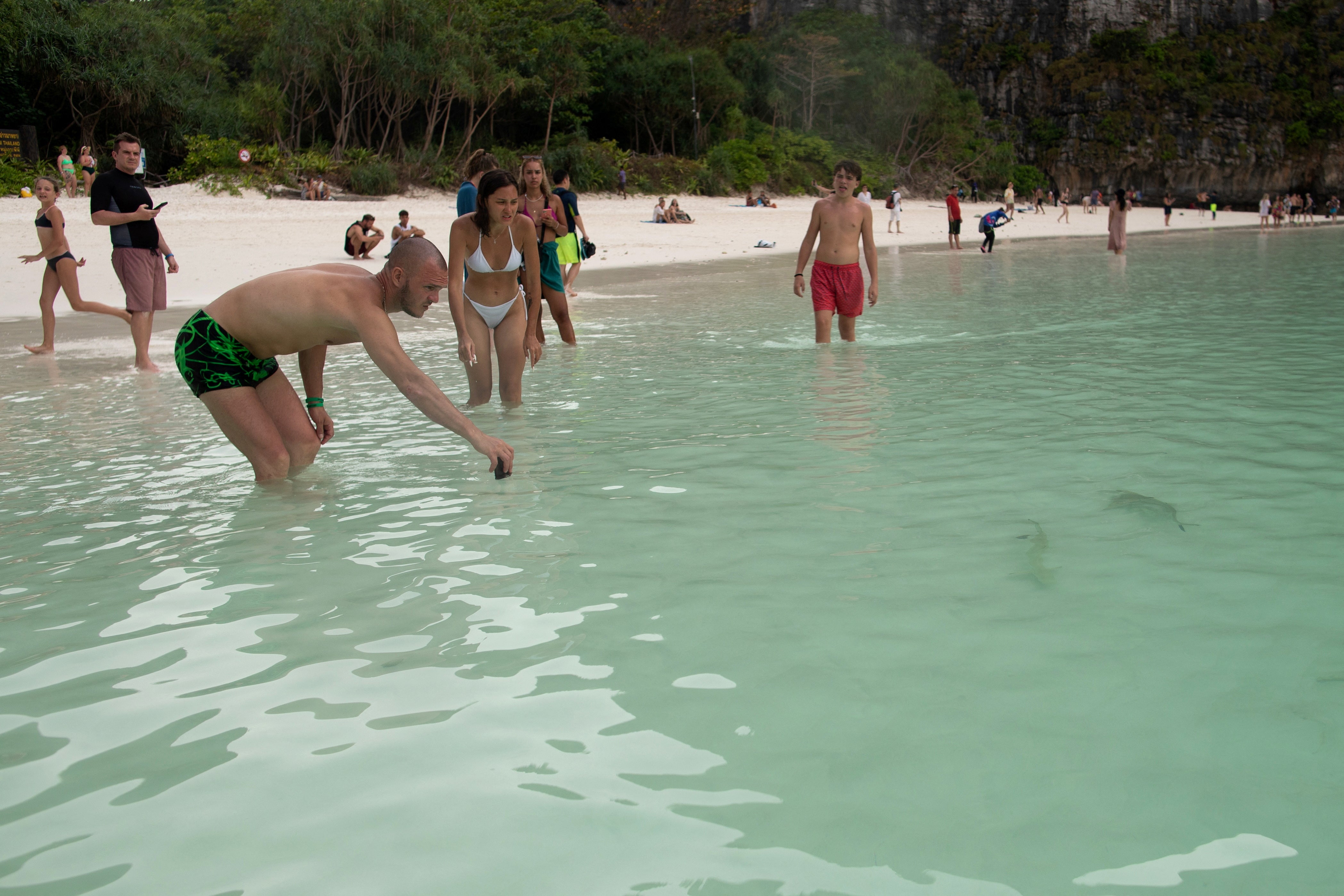 Tourists and Sharks Clash in Thailand's Maya Bay