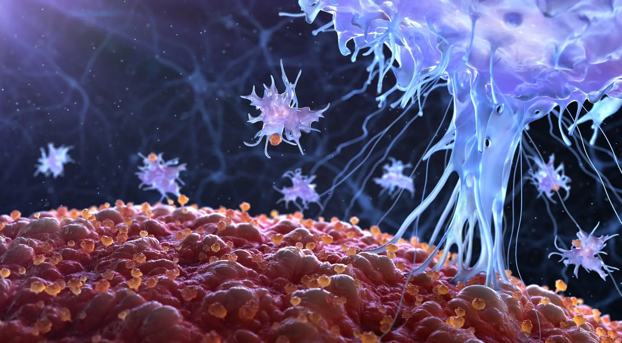 Featured image for "Unveiling Immune System's Hidden Potential: Scientists Uncover Surprising Defense Mechanisms and Cell Killers"