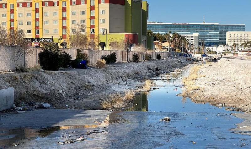 Featured image for "Tracking COVID-19 Mutations in Floodwaters Near Homeless Camps"