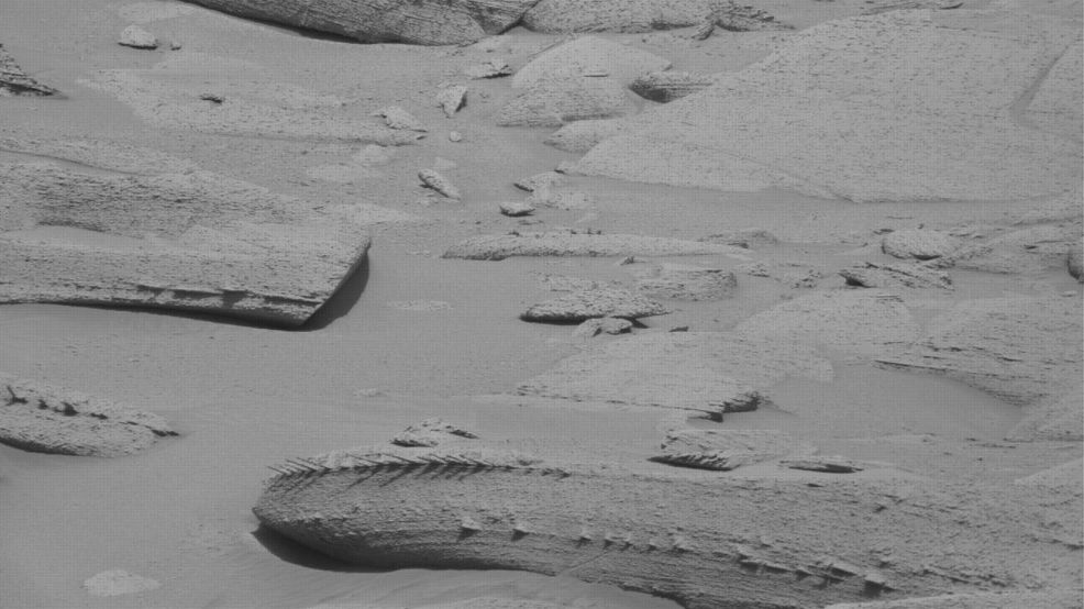 Dragon-like Skeleton Spotted on Mars by Curious Rover