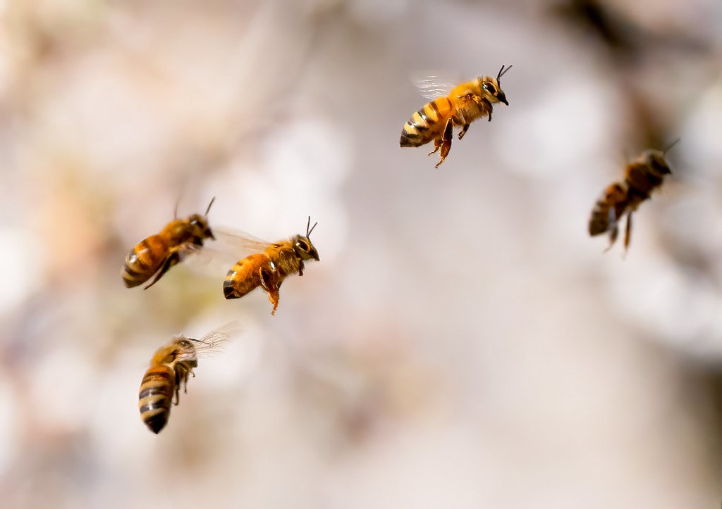 Featured image for "Unsettled Easter Weekend Weather: Showers and Warmth in D.C. Area"