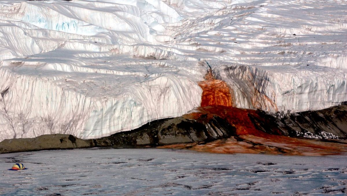 Featured image for Unraveling the Enigma of Antarctica's Blood Falls