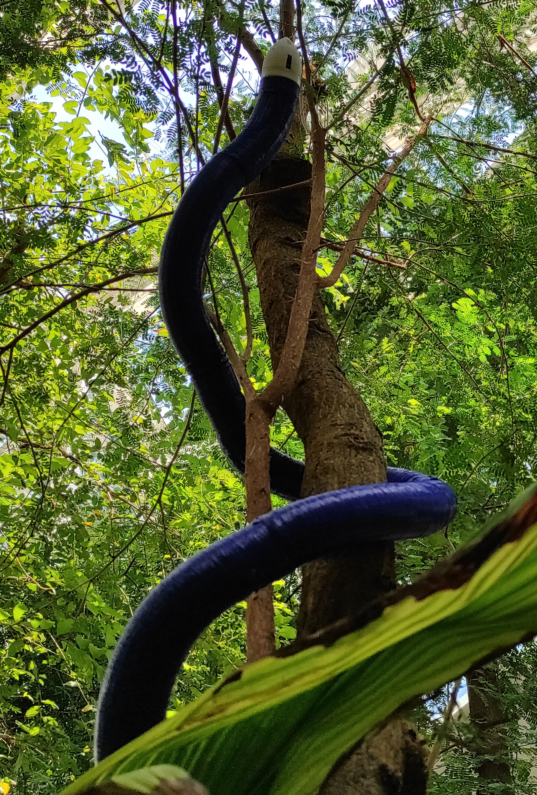 Featured image for "Self-building Snake-like Robot Grows with 3D-Printed Body"