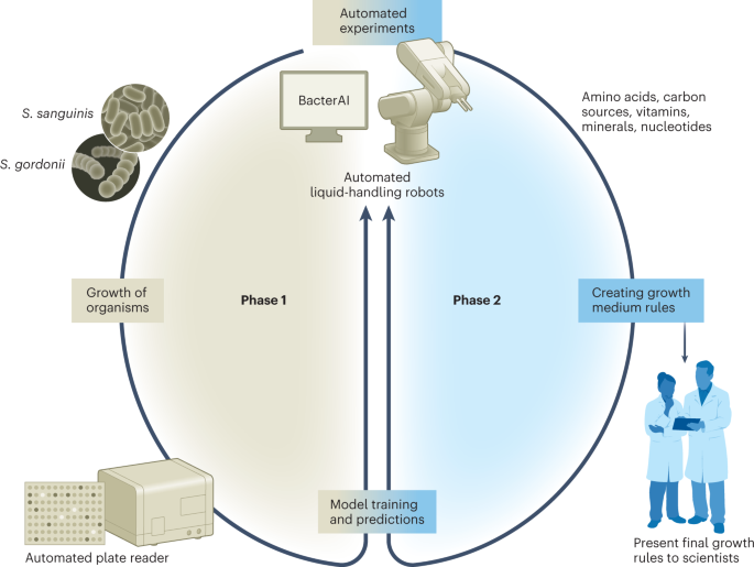 Exploring Bacterial Metabolism through Gaming.