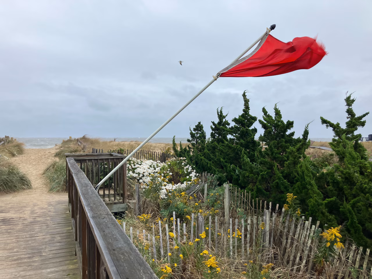 Featured image for Major Nor’easter Causes Flooding, Rescues, and Emergency Declarations Along the East Coast