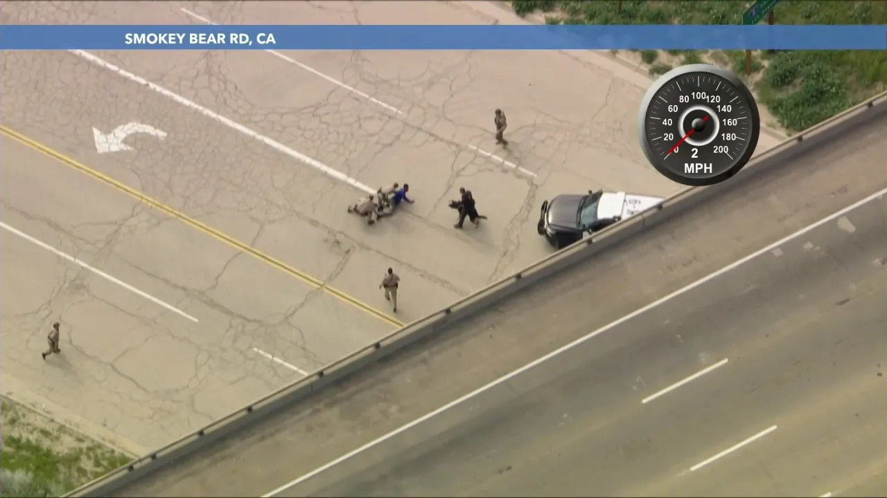 High-speed chase suspect apprehended after running across freeway and attempting carjacking.