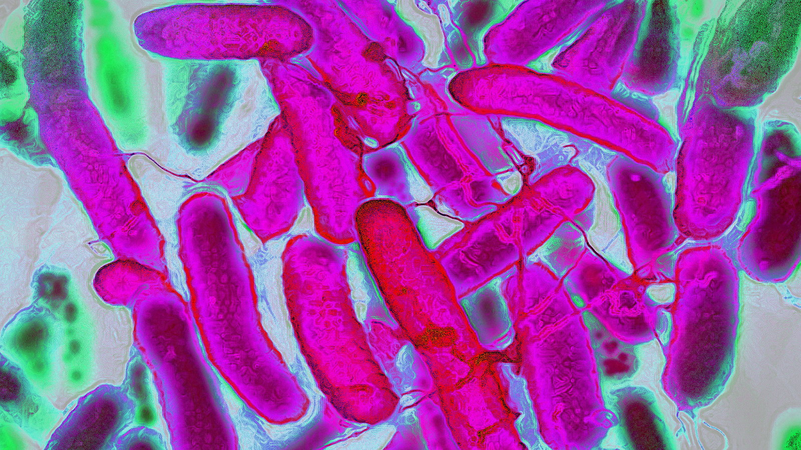 Caffeine's Role in Enhancing Bacterial Antibiotic Resistance