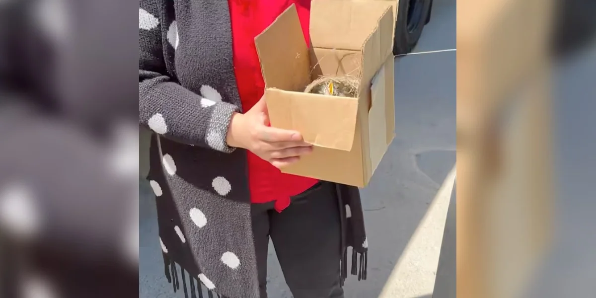 Featured image for Box Truck Employee Discovers Stowaways After 700-Mile Trip