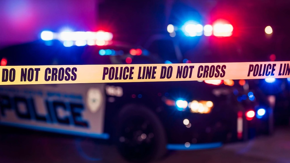 Tragic Road Rage Shooting Claims Life of 4-Year-Old Boy in California