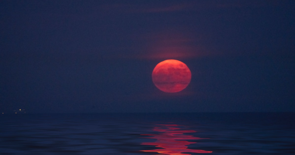 The Significance of June's Full Strawberry Moon for Your Zodiac Sign and Skywatching