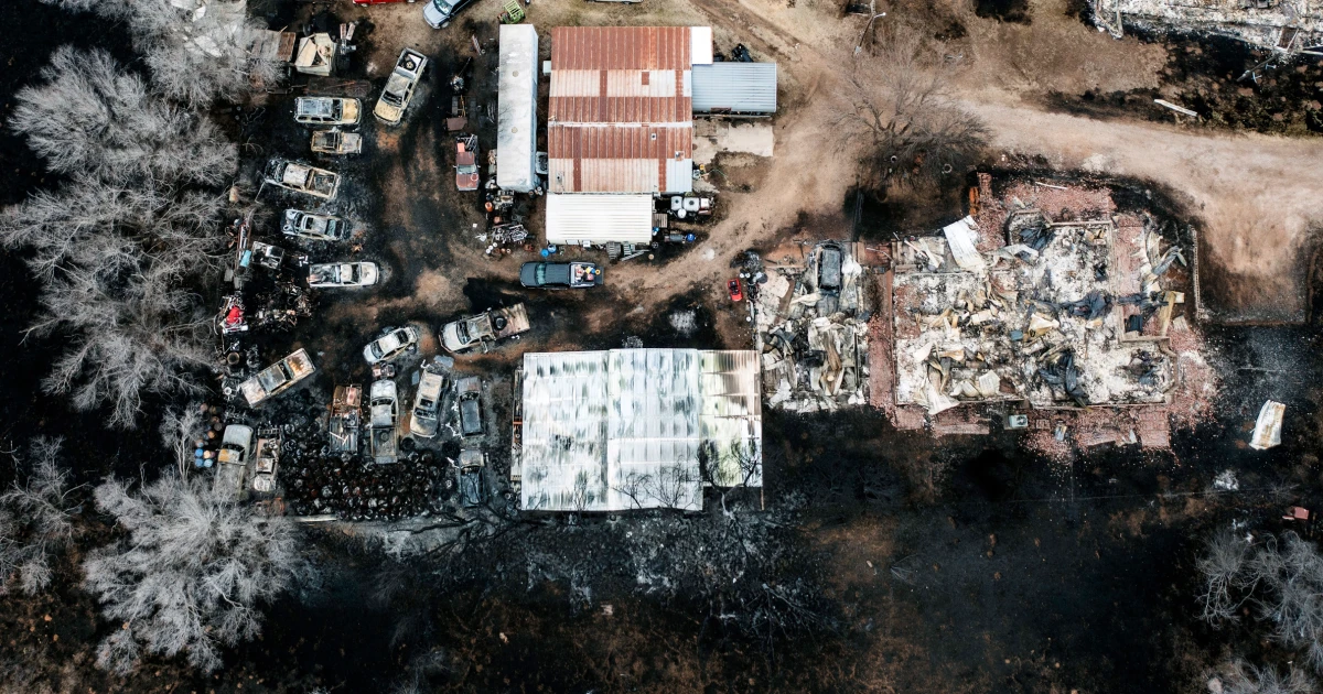 Featured image for "Wildfires Devastate Texas Ranches and Threaten Cattle Industry"