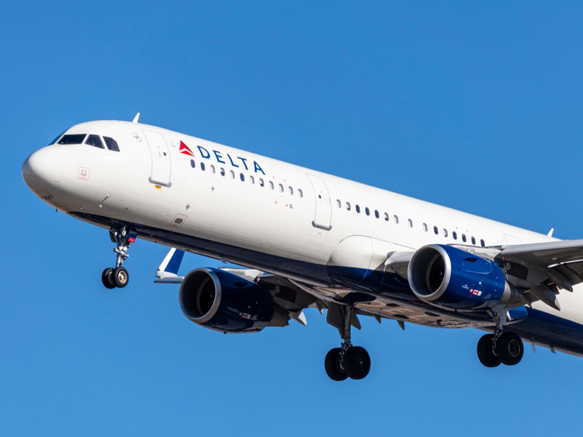 Featured image for Delta Flight Makes Emergency U-Turn as Maggots Rain Down on Passengers