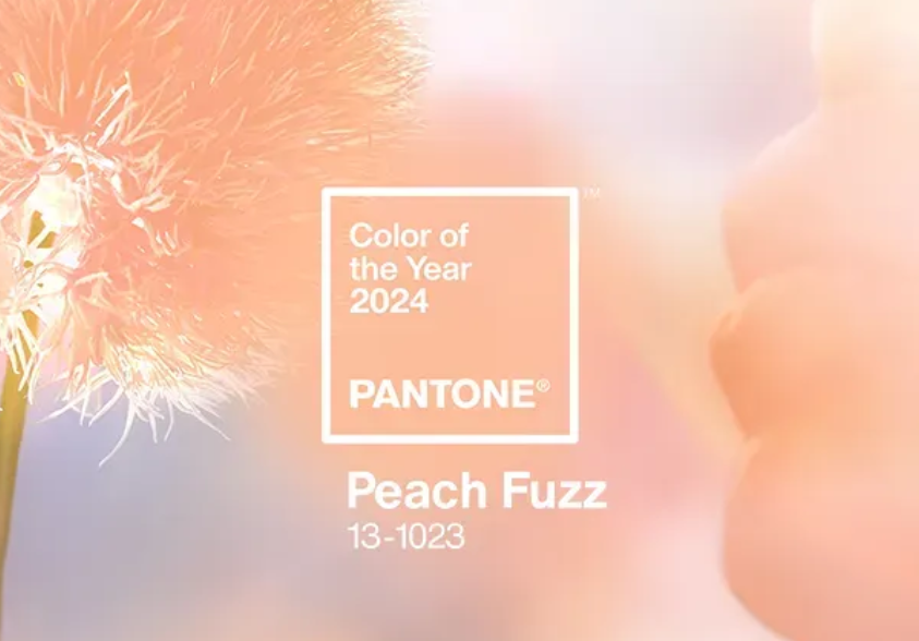 Featured image for "Pantone's 'Peach Fuzz': The Color of the Year for 2024"