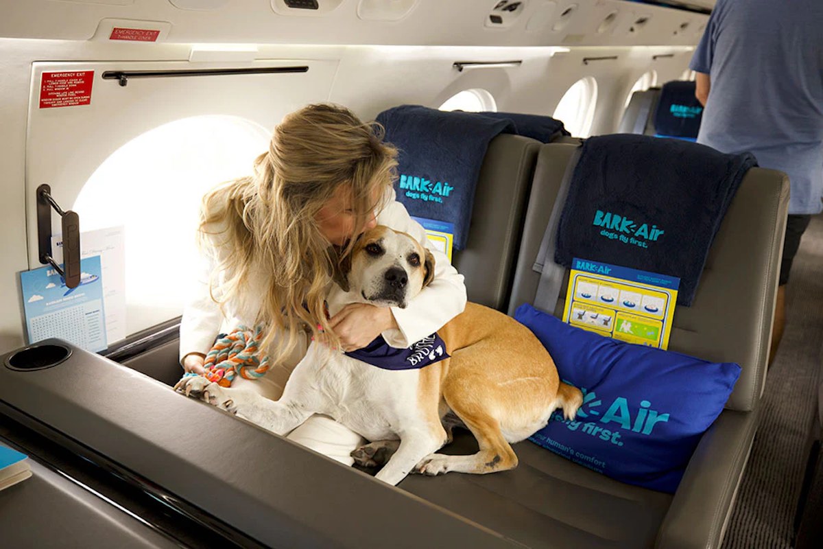 Featured image for "BARK Air: The Ultimate Canine-Friendly Airline Experience"