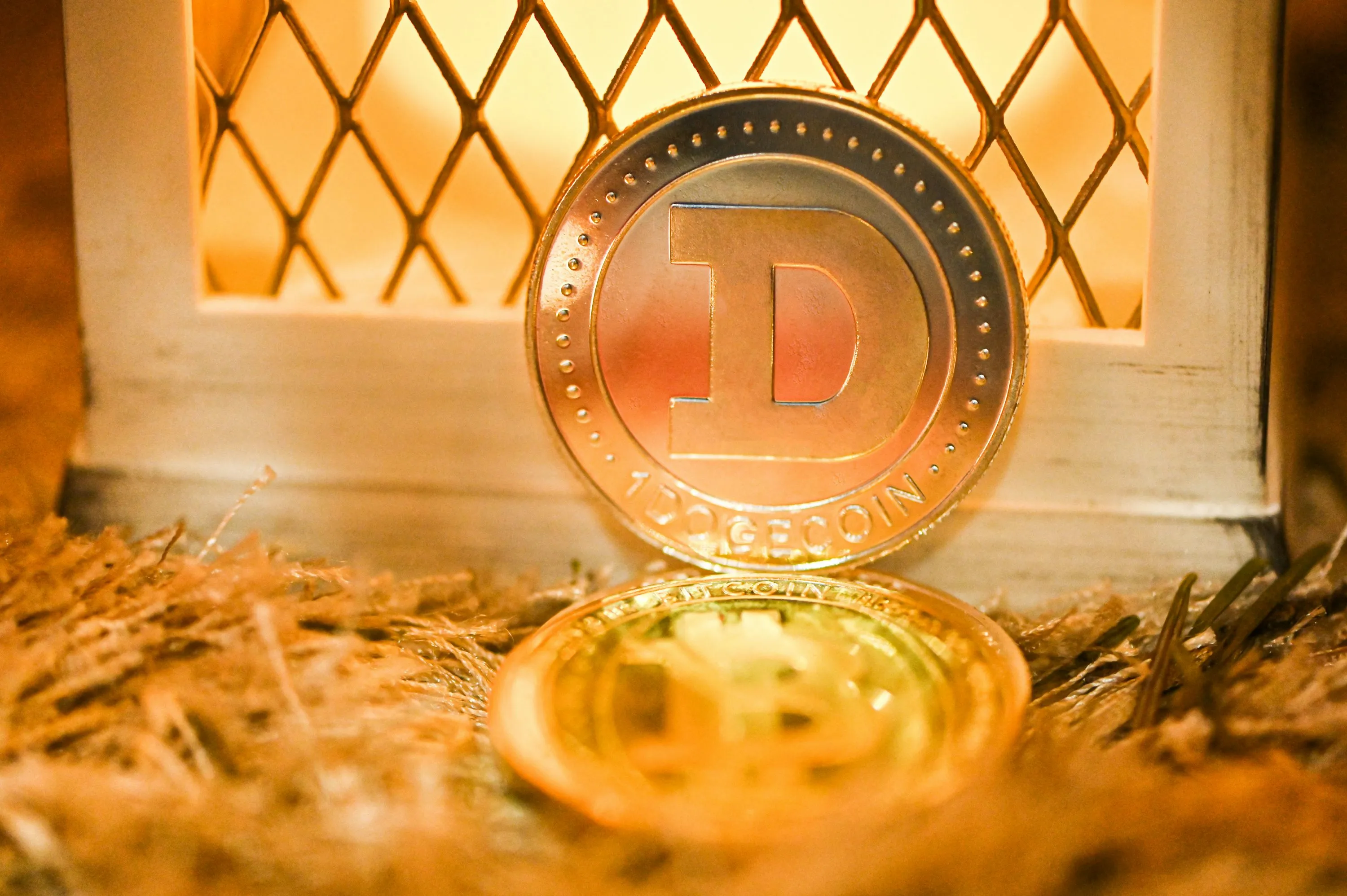 Dogecoin's Future: Experts Predict Major Price Surge Amid Market Buzz