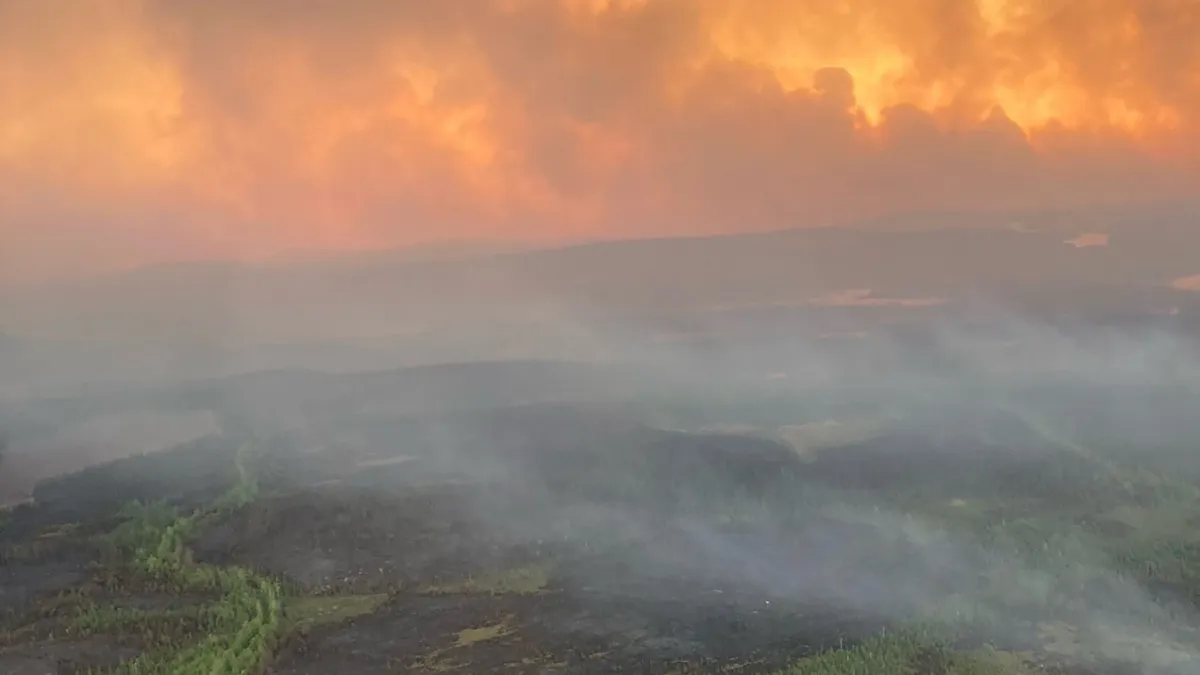 Wildfire smoke from Canada affects air quality in Michigan, prompts alerts.