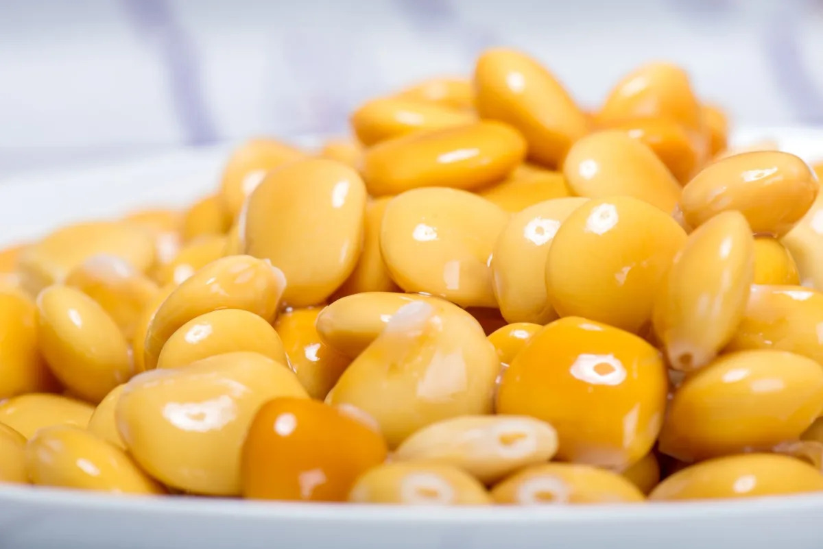 Featured image for Unveiling the Secret of the Mediterranean 'Super Bean' Now Available in the U.S.