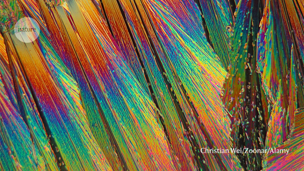 "Unlocking the Potential: Microbes Revolutionize Rare-Earth Metal Extraction"