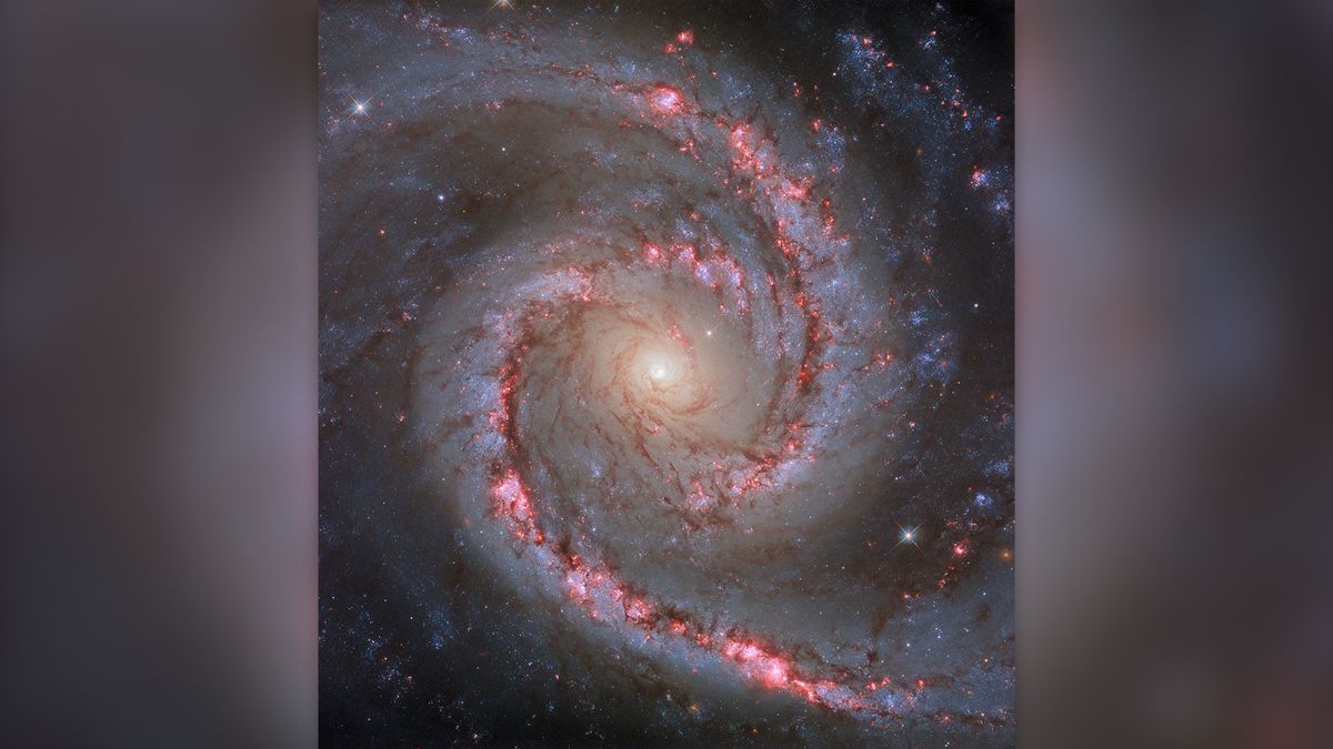 "Captivating 'Spanish Dancer Galaxy' Mesmerizes NASA's Hubble in Stunning Space Photo"