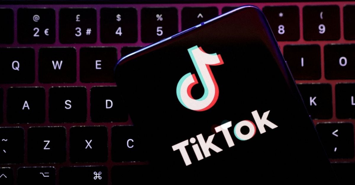TikTok's $1.5 Billion Investment Revives Indonesian E-commerce