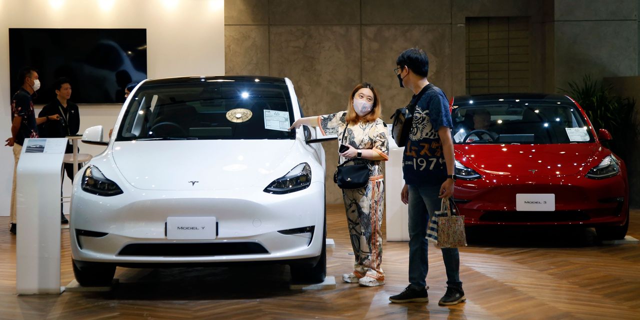 "Tesla's Price-Cut Strategy Boosts Stock and EV Market Rally"