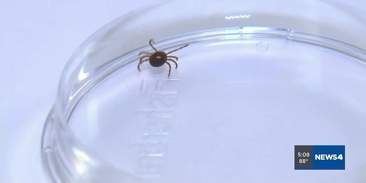 Tick Safety: Debunking Myths and Offering Prevention Tips