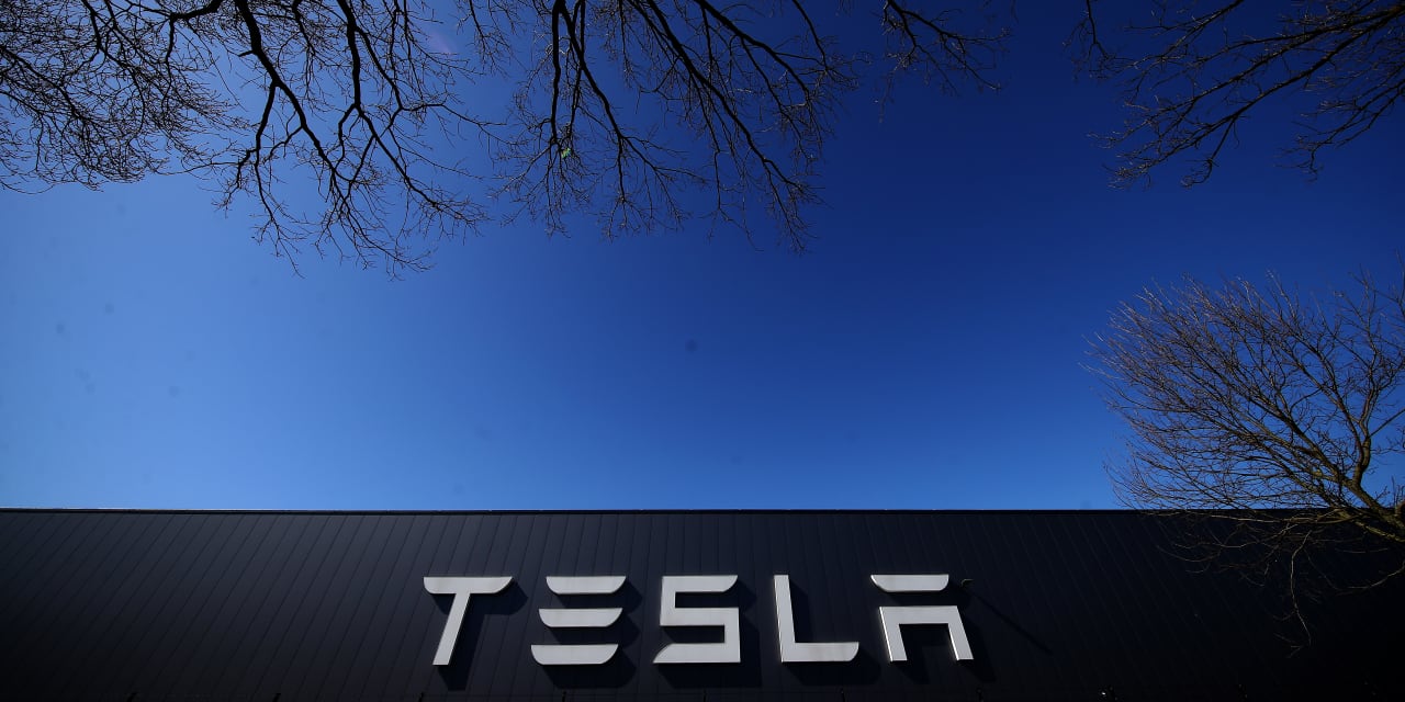 "Tesla's Stock Surges, Defying Resistance and Outperforming the Market"