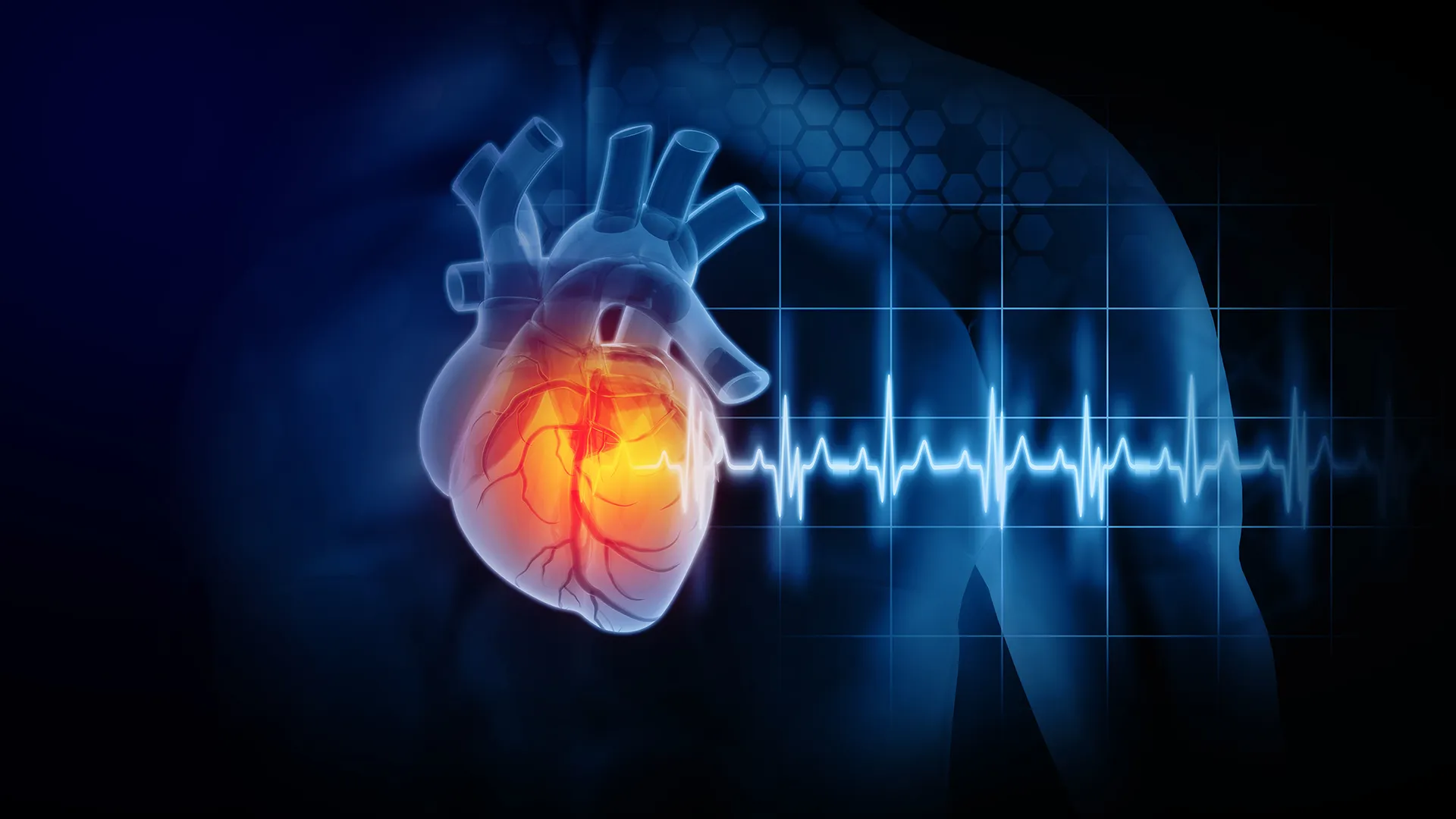 Featured image for Debunking Seed Oil Myths: What Science Really Says