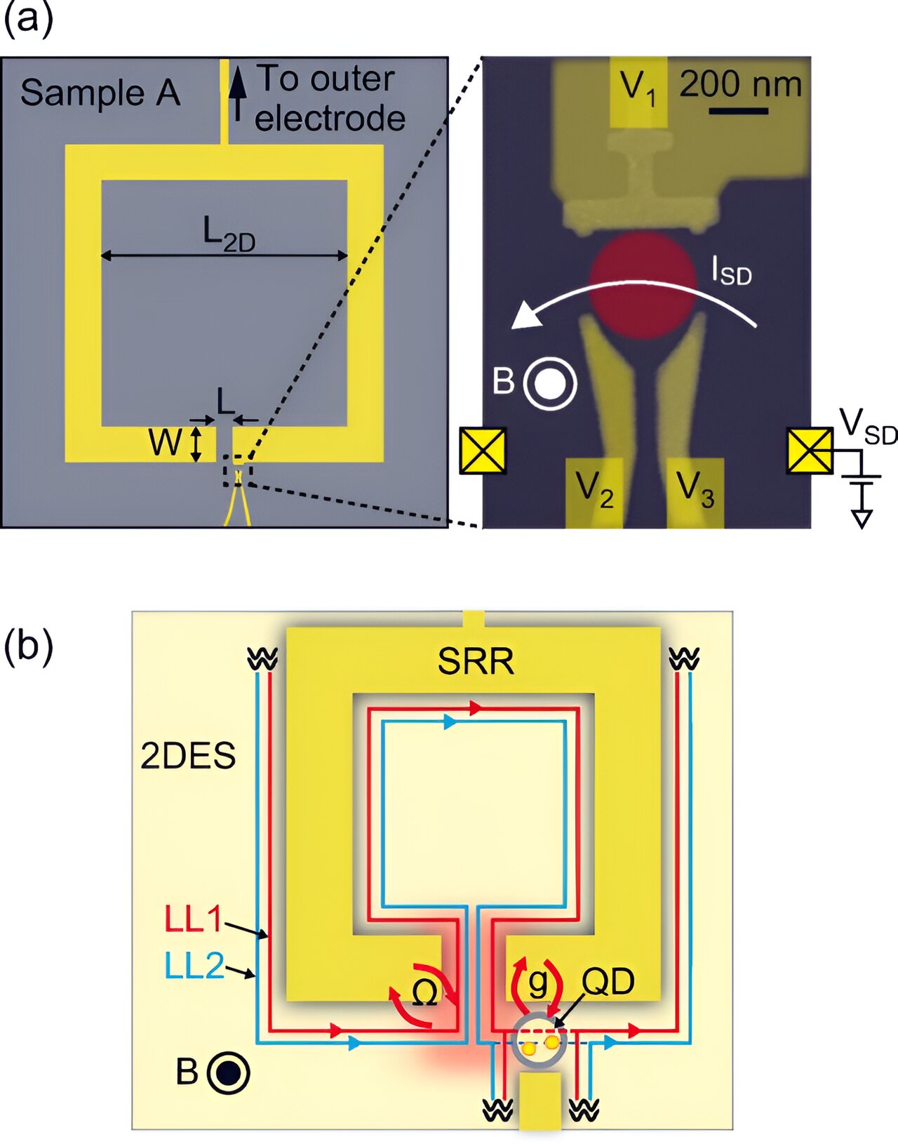 Featured image for "Breakthrough: Overcoming Quantum Information Transmission Hurdles"